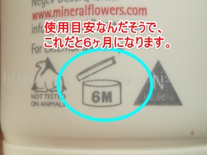 モイスチャークリームの裏にはこんな記述が・・。ジャーに書かれた６Mの文字の意味解りますか？使用目安・使用期限なんだそうです。６Mは６ヶ月ということになります。