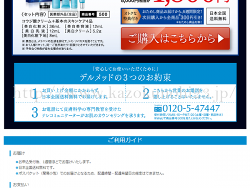 Drmedデルメッド美白お試しセットの購入画面には3つのお約束というのが明記されています。