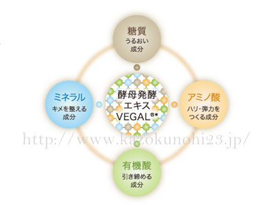 植物由来の酵母発酵エキスVEGAL(ベガル)をとりまく美容成分の紹介。