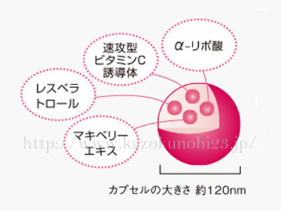 皮膚科医さんがすすめるアンプルールのハイドロキノンはこんな感じの構成になっています。