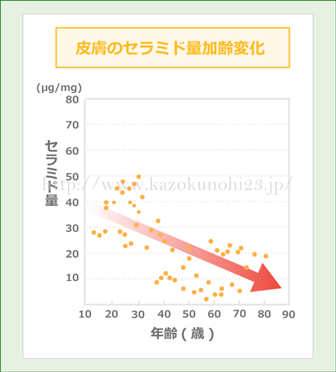 セラミドの量も年齢とともに減少。40歳を過ぎると、20歳の時の約半分の量にまで減ってしまいます