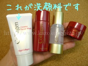 ニッピコラーゲンスキンケア洗顔料 使用感 クリーミー洗顔フォーム30g 泡立ち・洗い上がり