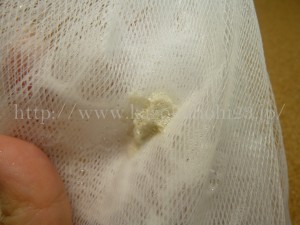 自然派基礎化粧品 aisome逢初 泡立て方法 逢初(あいそめ)ねりせっけん 泡立ち 画像