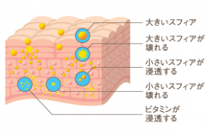 voige公式サイトからお借りしました ヴォイッジ ビタミンスフィアはこんな感じで浸透します