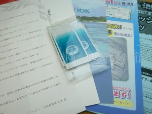 海藻を使ったオールインワンクリーム『海のブレア』の肌なじみを写真付きで紹介します
