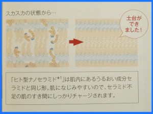 アスタリフトの先行美容液は塗る順番がもっとも大切なことになります。