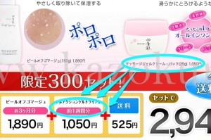 四季彩のフルアクションゲル35グラムが1週間分だということが書いてある公式ページ。