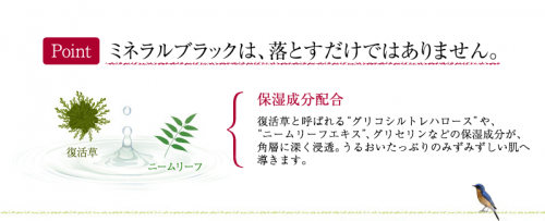 アウェイクお試しセットに入っているミネラルブラックには、ニームリーフと復活草が入っていました。そのおかげで、保湿できることになります。