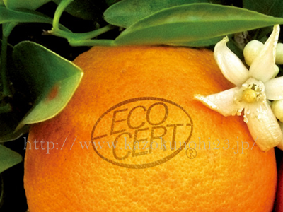 界面活性剤と石鹸は違うの？界面活性剤の作用と選び方の美容情報より、エコサートの印がついたオレンジの画像。