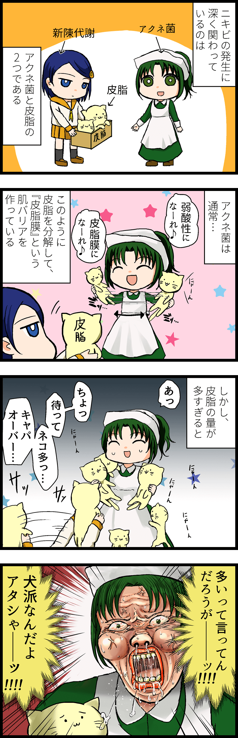 ニキビの発生に深く関わっているアクネ菌と皮脂。アクネ菌は通常皮脂を分解して、『皮脂膜』という、肌のバリア機能をしている。しかし、皮脂量が多すぎると…