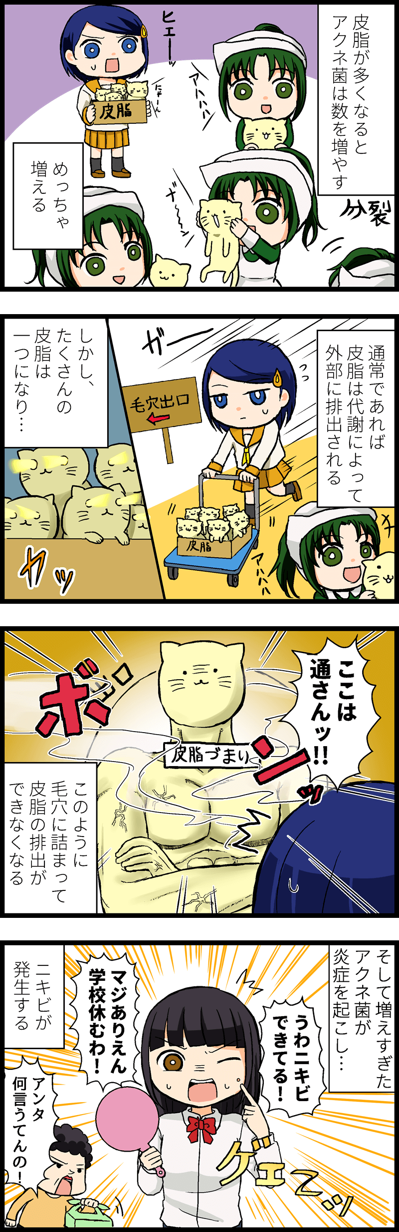 皮脂は通常、肌の新陳代謝とともに外に排出される。しかし、増えすぎた皮脂は毛穴に詰まり、アクネ菌を増加させる。そしてアクネ菌が増加した毛穴が炎症を起こし、ニキビが発生する。