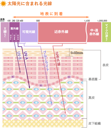 太陽光に含まれる光線の種類