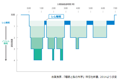 眠りはじめの時間が肝心なことは、レム睡眠とノンレム睡眠とのバランスを見るとわかります。画像はドリエルサイトからお借りしてきました。