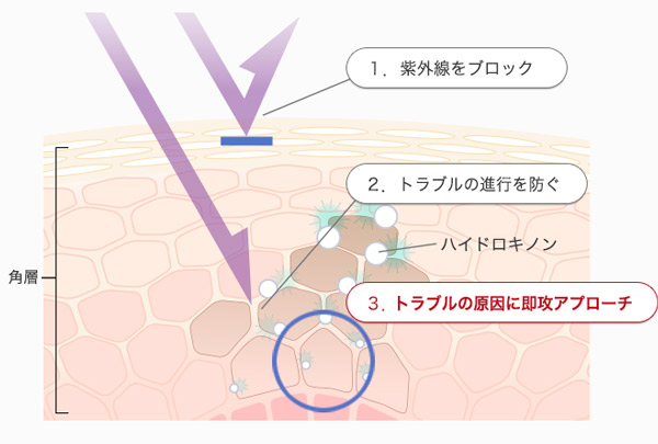 還元作用でメラニン色素自体を薄くする