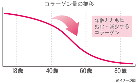 表皮の下にある『真皮』の中では、コラーゲンの割合は70％にも及びます。