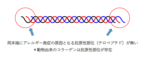 アテロコラーゲン