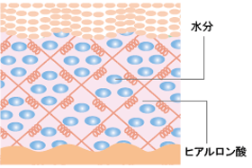 ヒアルロン酸