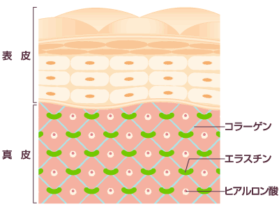 ヒアルロン酸