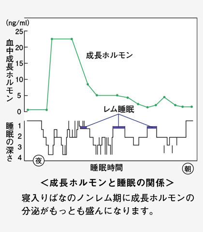 成長ホルモンと睡眠の関係