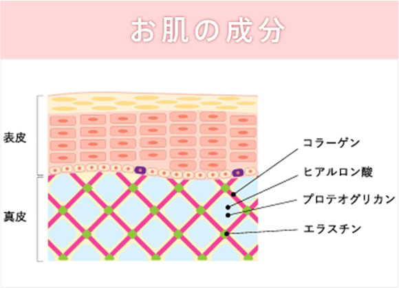 たるみ・シワを改善する