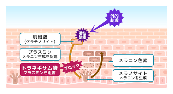 トラネキサム酸