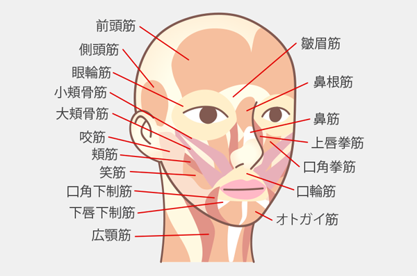 表情筋の衰え