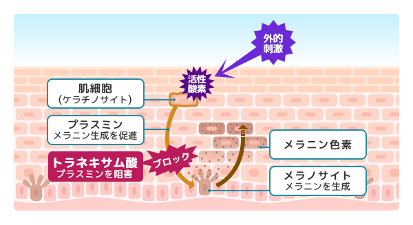 トラネキサム酸