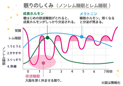 キレイは寝て待て？！熟睡のためにできること