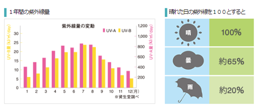 １年間の紫外線量