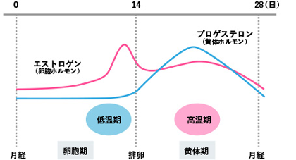 ホルモンバランスの乱れ