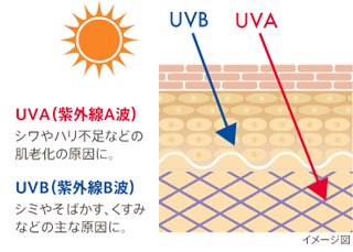 紫外線対策は一年を通して行う