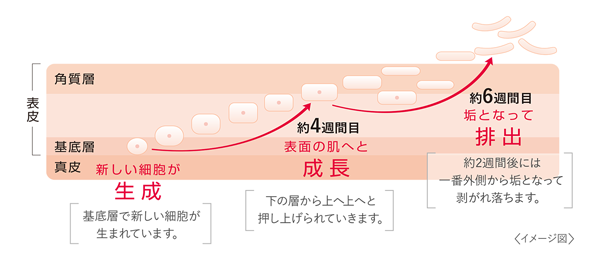 古い角質がたまる理由