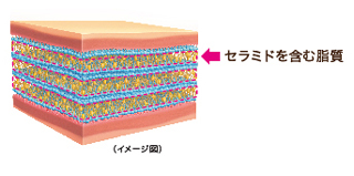 たるみ・シワを改善する