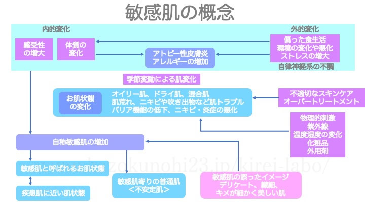 敏感肌の概念