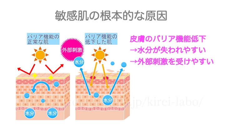 敏感肌の根本的な原因