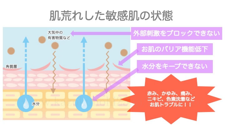 肌荒れした敏感肌の状態