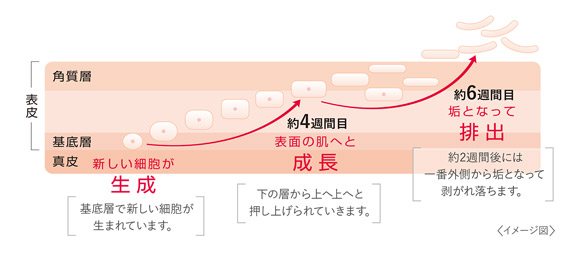 色素沈着タイプのニキビ跡に美容液は効果がある？