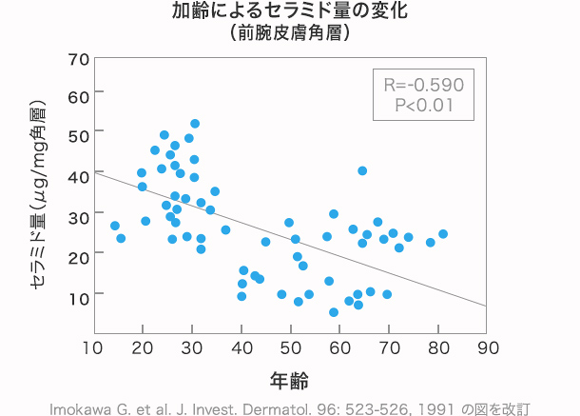 セラミド不足の原因は？