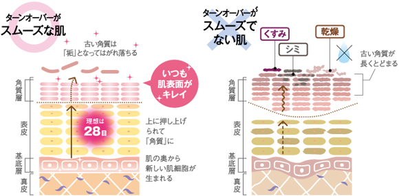 毛穴が詰まるプロセス