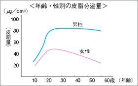 皮脂量と男性の肌