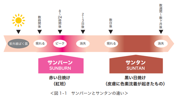 日焼けの種類