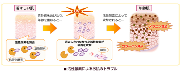 お肌のトラブル