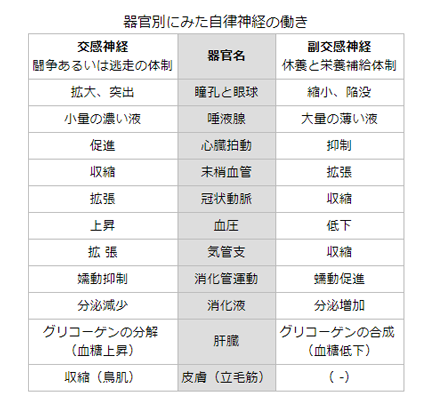 ストレスと自律神経