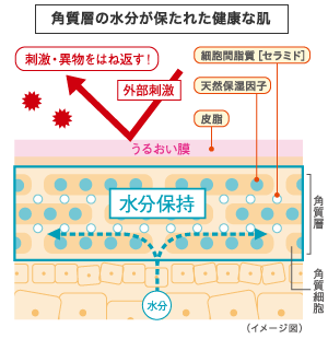 「3大保湿因子」