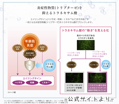 トラネキサム酸の肌への効果のイラスト。